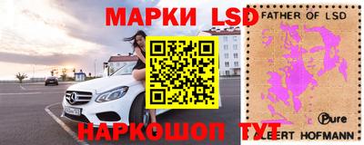 spice Заводоуковск