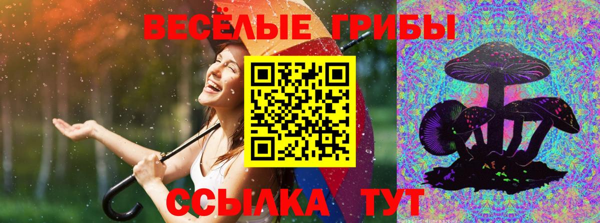 Псилоцибиновые грибы Psilocybine cubensis  Вход с VPN  Каспийск 